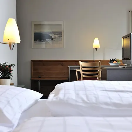 Seelandhotel Weisses Kreuz 3* Lyss